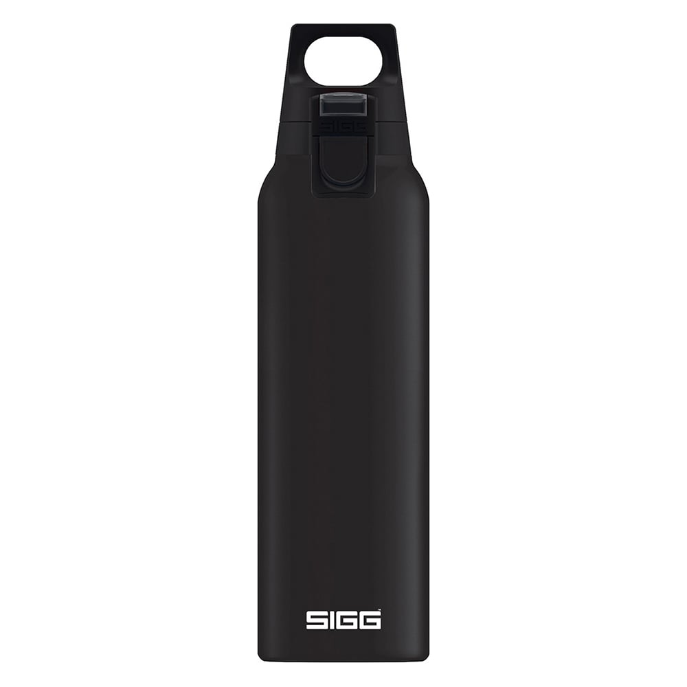 фото Термобутылка sigg