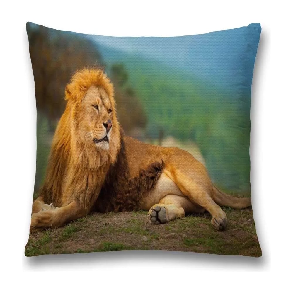 Изображение товара Декоративная наволочка JoyArty sl_30445 45x45 см для стильного интерьера