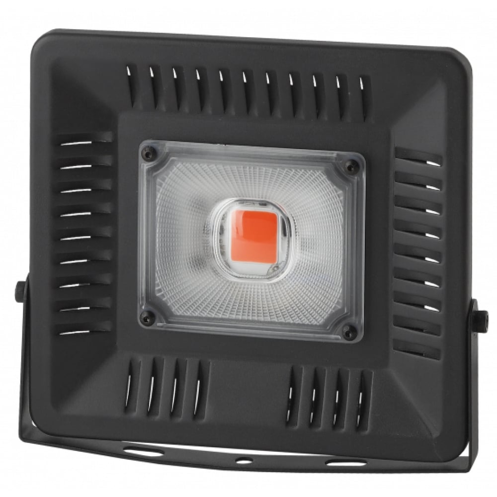 фото Прожектор эра fito-50w-led bluered б0039033