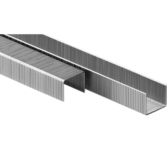 Изображение товара Особотвердые тонкие скобы ЗУБР Профессионал широкие, тип 80, 10 мм, 5000 шт. 31880-10