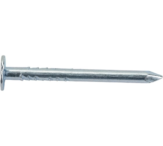 Изображение товара Толевые гвозди Зубр МАСТЕР оцин 305216-25-032