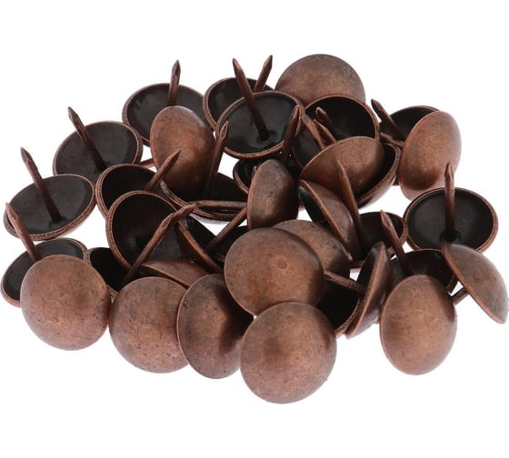 Изображение товара Декоративные гвозди ТУНДРА 19x22 мм, цвет медь, в упаковке 200 шт. 4647162