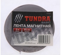 Магнитная лента TUNDRA с клеевым слоем, 25 х 1.5 мм, 3 м 4334648