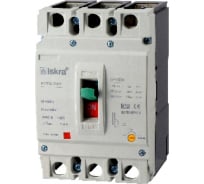 Автоматический выключатель Iskra в литом корпусе MOD2-3NL-125 3838733073773