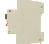 Автоматический выключатель дифференциального тока TDM АВДТ 63 2P C63 300мА SQ0202-0016