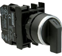 Переключатель Emas серия B, 2-0-1, без фиксации, 2НО, 250В AC, 4А B101S32