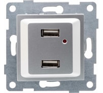 Розетка USB GUSI ELECTRIC Ugra, двойная, СУ, серебро С11USB2-004