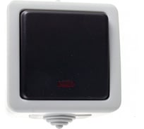 Одноклавишный переключатель LK Studio, схема 6L, с 2-х мест, с подсветкой, IP54, 10А/250V 80005