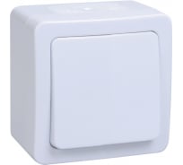 Одноклавишный кнопочный выключатель IEK ВСп20-1-0-ГПБ, проходной, открытой установки, IP54, цвет клавиш белый, ГЕРМЕС PLUS EVMP12-K01-10-54-EC