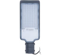 Уличный светодиодный светильник FERON 100LED*120W AC100-265V 50Hz цвет серый IP65, SP2918 32573