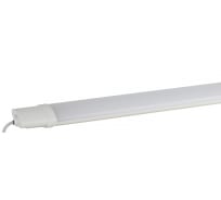 Светодиодный светильник ЭРА SPP-3-50-4K-M IP65 1500х60х30 50Вт 4250Лм Ra80 4000K Б0041977
