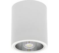 Точечный накладной светильник KANLUX NIKOR DLP-60-W Е27/ 7210