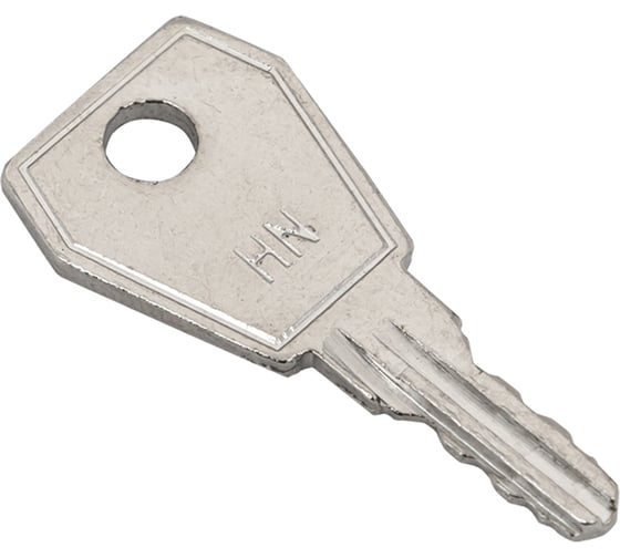 Ключ для пластикового замка EKF к щрн (арт. lock-shrn-ip31) (10шт.) proxima key-4