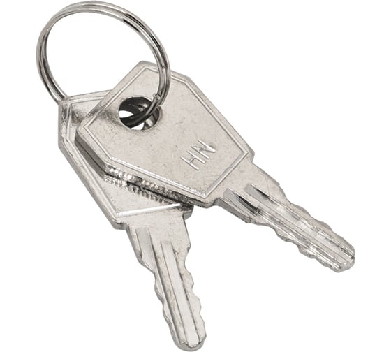 Ключ для пластикового замка EKF к щрн (арт. lock-shrn-ip31) (10шт.) proxima key-4