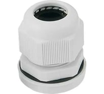 Сальник TDM ELECTRIC PG 48, IP54, в инд. упак. по 1 шт. SQ0805-0222