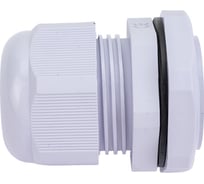 Сальник STEKKER pg21 диаметр проводника 13-18 мм , ip54, серый (diy упаковка 2 шт), 49380