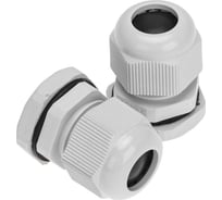 Кабельный ввод REXANT pg-13,5 (6-12мм) серый, комплект (2 шт/уп) 07-8013-A2