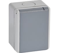 Розетка с заземлением Legrand Plexo серый, с крышкой, 3К+З, 32А, 400В, винтовой зажим, наружный монтаж, в сборе, IP44 055875