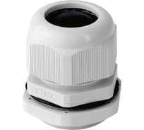 Сальник DKC PG - 42 28-38 IP68 5шт 53300