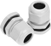 Кабельный ввод REXANT PG-21 (13-18мм) серый, комплект (2 шт/уп) 07-8021-A2
