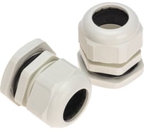 Кабельный ввод PG-29 (18-25мм) серый, комплект (2 шт/уп) REXANT 07-8029-A2