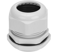 Кабельный ввод REXANT PG-36 (22-32мм) серый, комплект 07-8036-A1