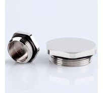 Заглушка отверстия WEYER DPM-P09 - заглушка под гаечный ключ, нар. PG09 WE6901000