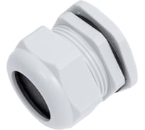 Сальник КЭАЗ PG42 (D проводника 30-40мм) IP54 143112