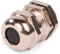 Кабельный ввод FORTISFLEX MGM-EMC 16 (4-8 мм) латунный 89321