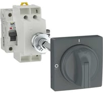 Ручка выносная IEK ARMAT для МО AR-AUX-RHN