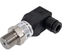 Преобразователь давления Ридан MBS 1700R диапазон измерения 0 - 16 бар, выходной сигнал 4-20 мА, присоединение М20*1,5 060G3822R