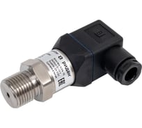 Преобразователь давления Ридан MBS 1700R диапазон измерения 0-6 бар, выходной сигнал 0-10B, присоединение G 1/2 060G6204R