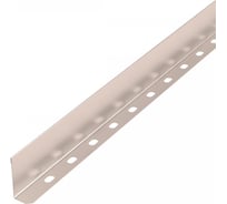 Разделитель лотка Промрукав Стандарт INOX (AISI 409) 50x3000 (0,55 мм) 1м. PR16.3772