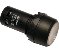 Выключатель Briswik КМЕ 1110м -Л 24В белый 1но+0нз Цилиндр-моноблок IP40 с Индикацией XB7NW37B1.BR