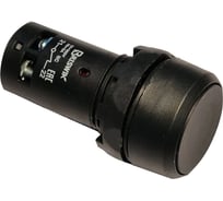 Выключатель Briswik КМЕ 1111м черный 1но+1нз Цилиндр-моноблок IP40 XB7NA25.BR