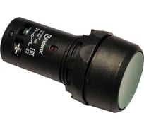 Выключатель Briswik КМЕ 1111м зеленый 1но+1нз Цилиндр-моноблок IP40 XB7NA35.BR