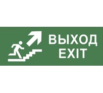 Самоклеящаяся этикетка ЭРА INFO-SSA-110 350х130мм, Выход/лестница, вверх/фигура, SSA-101, 5/5000 Б0048479