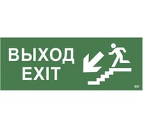Самоклеящаяся этикетка IEK Выход, лестница вниз, фигура, ССА 1005 LPC10-1-35-13-VLVNF
