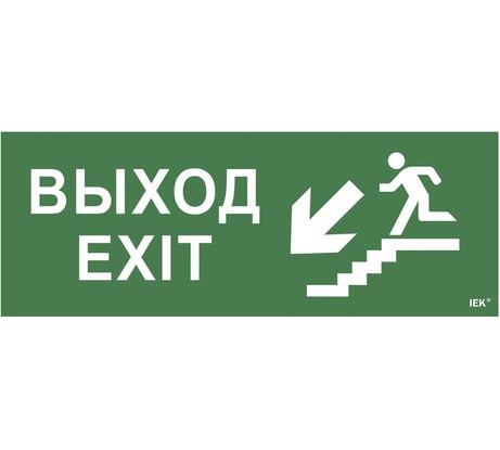 Самоклеящаяся этикетка IEK Выход, лестница вниз, фигура, ССА 1005 LPC10-1-35-13-VLVNF