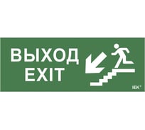 Самоклеящаяся этикетка IEK Выход, лестница вниз, фигура, ДПА, IP20, 54 LPC10-1-24-09-VLVNF