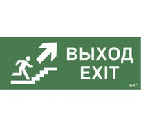 Самоклеящаяся этикетка IEK Выход, лестница вверх, фигура, ДПА, IP20, 54 LPC10-1-24-09-VLVVF
