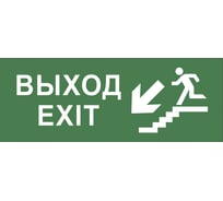 Самоклеящаяся этикетка ЭРА INFODBA013 Выход/лестница вниз/фигура, 200х60мм, DPA/DBA, 5/20000 Б0048465