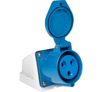 Стационарная наружная розетка EKF 133 2Р+РЕ 63А 220В IP67 PROxima ps-133-63-220