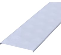 Крышка лотка PRO-lotki.ru KLM 600 (1,5) AISI 304 L=2500 TLS52313INOX vTLS52313INOX