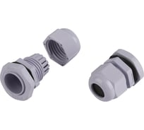 Кабельный ввод сальник ЭРА NO-224232 PG 13.5 (d отв.21 мм / d провод.6-12 мм) IP54 (упаковка 20 штук) Б0065191