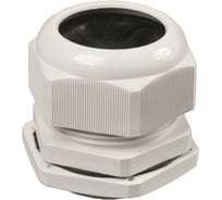 Сальник IEK PG 13,5 диаметр проводника 7-11 мм IP54 2 шт в упаковке YSA20-12-13-54-K41-I