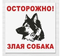 Знак ООО ПК "МАГИСТРАЛЬ" Осторожно, злая собака ПВХ 200*200 мм экосольвентная печать 4687206375864