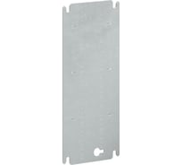 Плата монтажная DKC для навесных корпусов ВхШ 400x200 мм 1 ШТ R5ST042MP