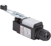 Светодиодный светильник DKC с концевым выключателем, 4Вт, с поворотным регулируемым рычажным роликом, 1 шт R5MCPCRS