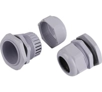 Кабельный ввод сальник ЭРА NO-224238 PG 36 (d отв.46 мм / d провод.2232 мм) IP54 (упаковка 10 штук) Б0065151